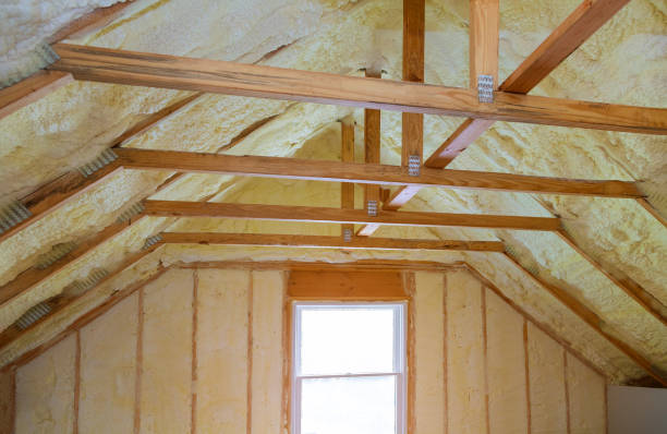 Best Spray Foam Insulation in Bridgman, MI