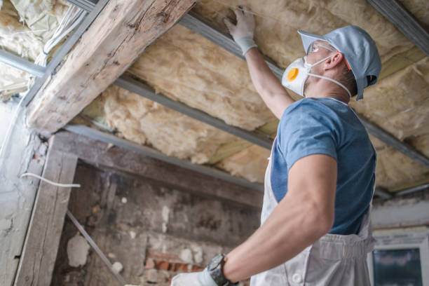 Best Residential Insulation in Bridgman, MI