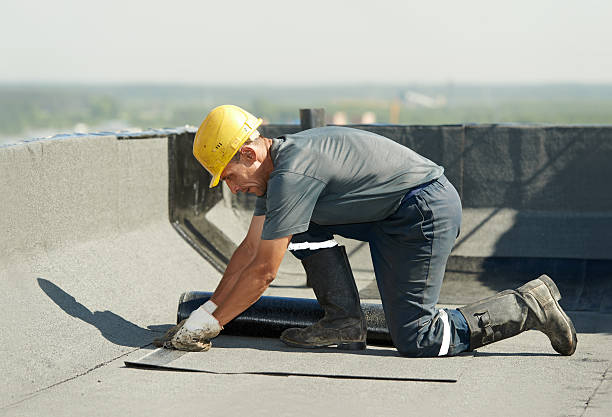 Best DIY Insulation Kits and Guidance in Bridgman, MI