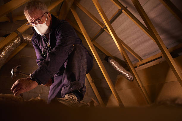 Best Commercial Insulation in Bridgman, MI